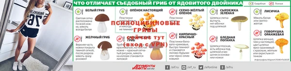 spice Алексеевка