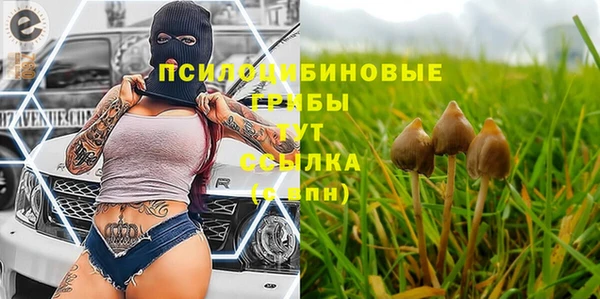 соль ск Алексин
