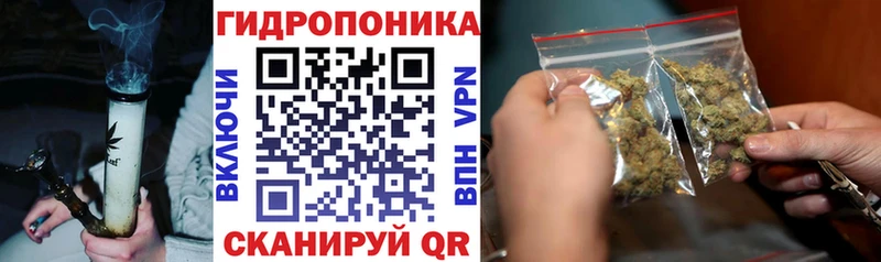 Бошки Шишки гибрид  hydra маркетплейс  Данилов 